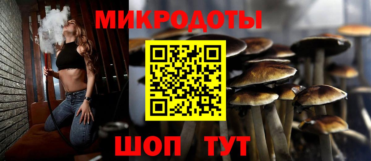 Галлюциногенные грибы Psilocybe  Вход с VPN  Семёнов 